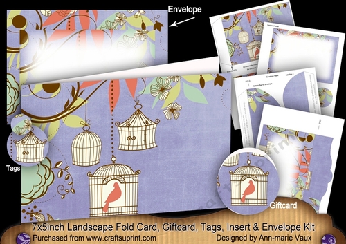 Birdcage Blue 7x5inch Landscape Card & Envelope Mini Kit