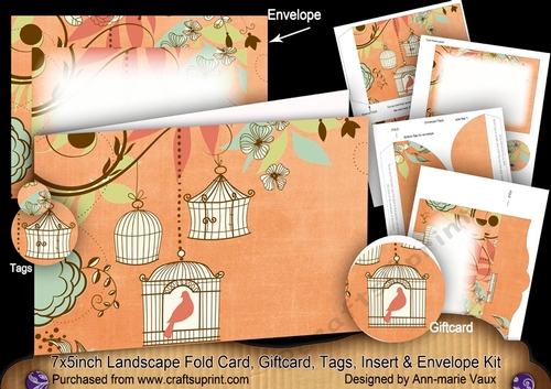 Birdcage BOrange 7x5inch Landscape Card & Envelope Mini Kit