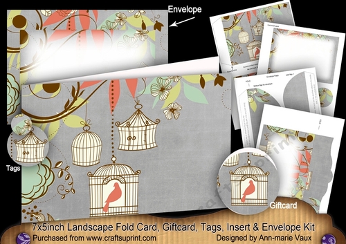 Birdcage Silver 7x5inch Landscape Card & Envelope Mini Kit