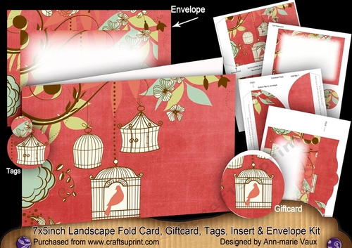 Birdcage Red 7x5inch Landscape Card & Envelope Mini Kit