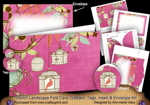 Birdcage Cerise 7x5inch Landscape Card & Envelope Mini Kit