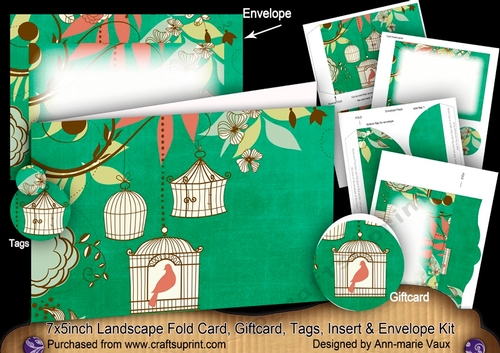 Birdcage Green 7x5inch Landscape Card & Envelope Mini Kit