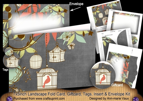 Birdcage Black 7x5inch Landscape Card & Envelope Mini Kit