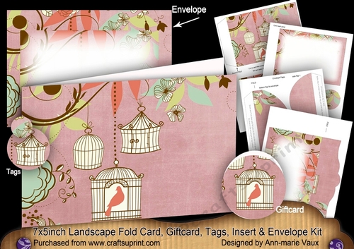 Birdcage Dusky Pink 7x5inch Landscape Card & Envelope Mini Kit