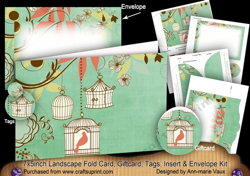 Birdcage Mint 7x5inch Landscape Card & Envelope Mini Kit
