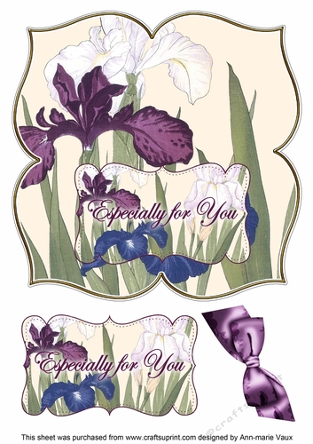 Iris Especially for You 8in Large Blooms Fancy Topper