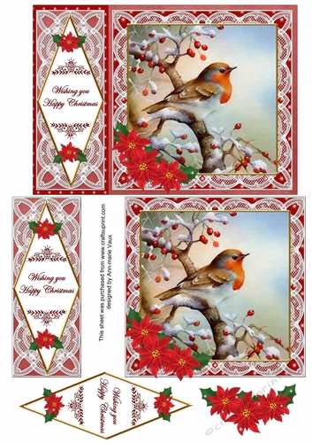 Red Robin Happy Christmas 7x5inch Diamond Lace Step by Step