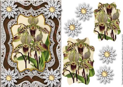 Vintage Tiger Orchid A5 Lace Card Front Step by Step