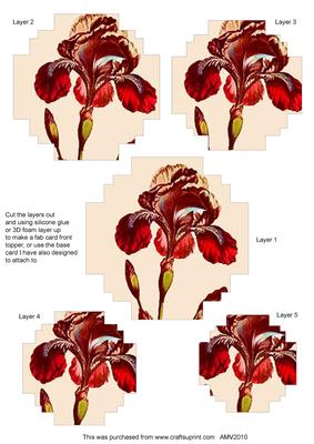 Red Iris Ex Style Matching Pyramid Toppers