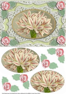 Amarylis A5 Oval Lace Card Front Step by Step