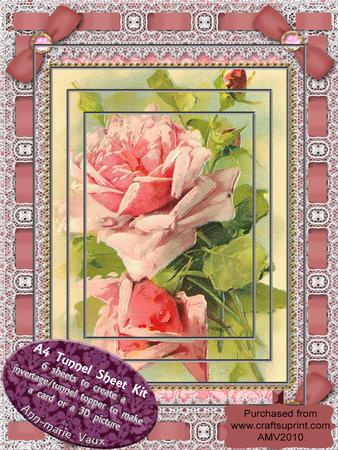 Pink Rose Lace Eyelet Tunnel Kit