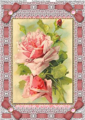 Pink Roses Lace Eyelet A4 Picture Sheet