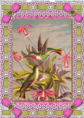 Beautiful Birds Lace Eyelet A4 Picture Sheet