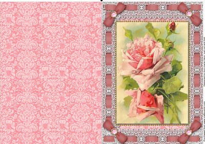 Pink Roses Lace Eyelet A5 Folded Card