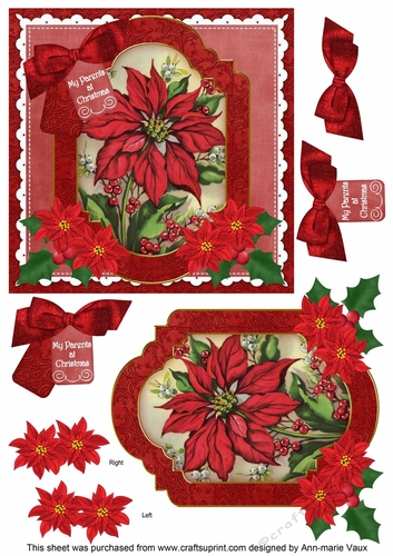 Red Poinsettia My Parents at Christmas 6in Christmas Step by Step