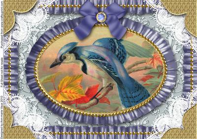 Kingfisher Lace N Ruffles A4 Picture Sheet