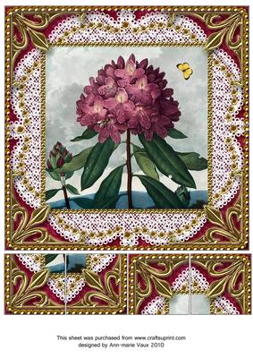Pink Butterfly Floral Lace N Gold 8x8inch Picture Sheet