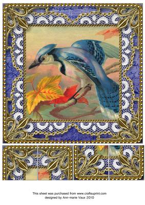 Colourful Kingfisher Lace N Gold 8x8inch Picture Sheet