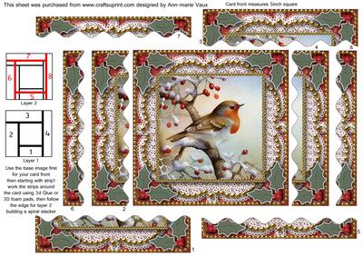 Christmas Robin 1 Spiral Wavy Edge Stacker Card Front