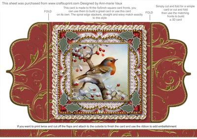 Christmas Robin 1a Lace Bracket Wrap Card