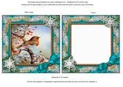 Robin 1 Snow Ornate Square Card Front and Frame