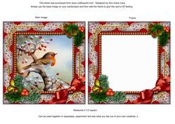 Robin 1 Holly Ornate Square Card Front and Frame