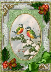 Christmas Blue Tits Holly A4 Picture Sheet