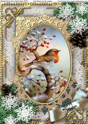 Robin 1 Snow A4 Picture Sheet