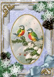 Christmas Blue Tits Snow A4 Picture Sheet