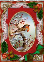Robin 1 Holly A4 Picture Sheet