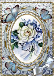 White Rose Butterfly A4 Picture Sheet