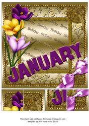 January Crocus Birthday 8in Picture Sheet