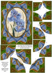 Blue Iris Fancy Bracket 7x5in Duo Corner Stacker