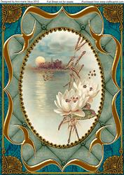 Oriental Lily Fancy Bracket A4 Picture Topper Sheet