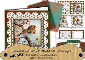 Robin 1 Em Anglaise Scallop Square 3D Card Kit