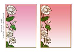 Pastel Pink Plain Daisy 7x5in Card Base Edger