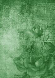 Vintage Tea Rose Green A4 Backing Paper