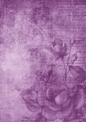 Vintage Tea Rose Lilac A4 Backing Paper