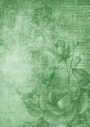 Vintage Tea Rose Mint A4 Backing Paper