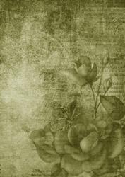 Vintage Tea Rose Olive A4 Backing Paper