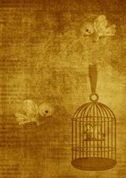Birdcage Gold A4 Backing Paper