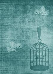 Birdcage Smokey Peacock A4 Backing Paper