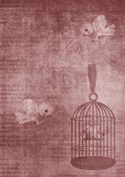 Birdcage Smokey Pink A4 Backing Paper