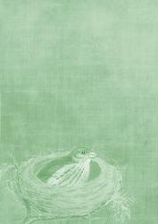 Birds Nest Mint Green A4 Backing Paper
