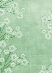 Floral Border Mint Green A4 Backing Paper