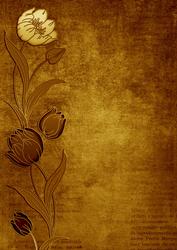 Vintage Gold Tulips Border A4 Backing Paper