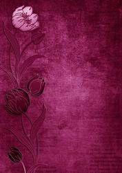Cerise Tulips Border A4 Backing Paper