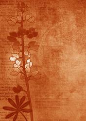 Lupin Edge Burnt Orange A4 Backing Paper