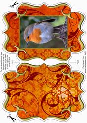 Christmas Bobby Robin2 Fancy Bracket Card