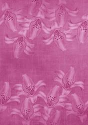 Lily Sides Cerise A4 Backing Paper
